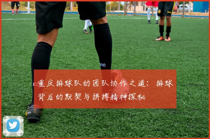 重庆排球队的团队协作之道：排球背后的默契与拼搏精神探秘