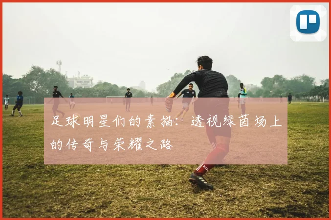 足球明星们的素描：透视绿茵场上的传奇与荣耀之路