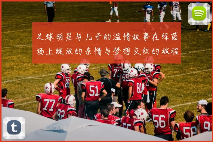 足球明星与儿子的温情故事在绿茵场上绽放的亲情与梦想交织的旅程