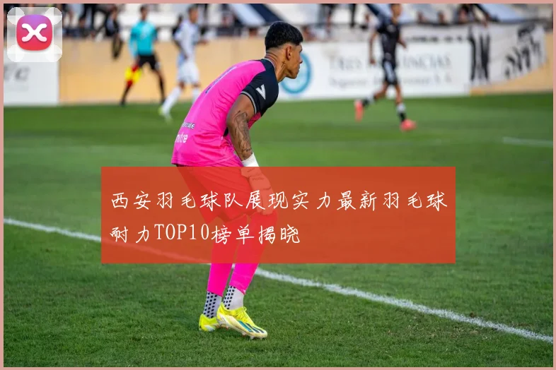 西安羽毛球队展现实力最新羽毛球耐力TOP10榜单揭晓