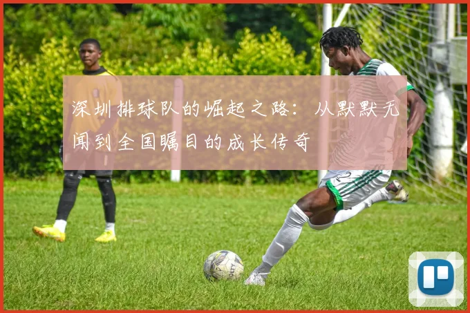 深圳排球队的崛起之路：从默默无闻到全国瞩目的成长传奇