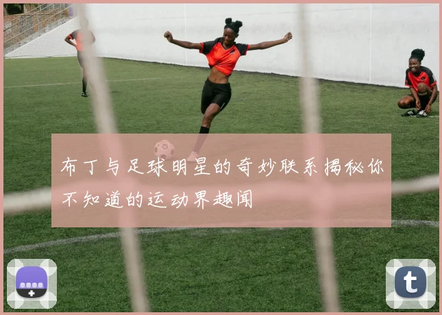 布丁与足球明星的奇妙联系揭秘你不知道的运动界趣闻