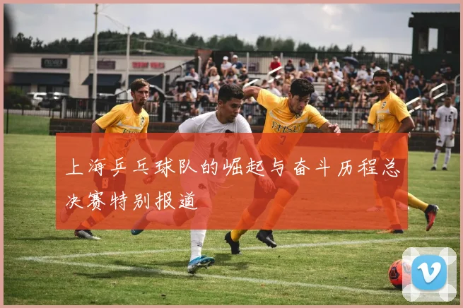 上海乒乓球队的崛起与奋斗历程总决赛特别报道