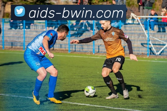 必赢APP 高清赛事图